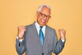 Middle age senior grey-haired handsome business man wearing glasses over yellow background very happy and excited doing winner Royalty Free Stock Photo