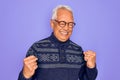 Middle age senior grey-haired man wearing glasses and winter sweater over purple background excited for success with arms raised Royalty Free Stock Photo