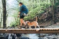 Middle-aged backpacker female with a backpack in trekking boots crossing mountain river bridge in the forest with her beagle dog. Royalty Free Stock Photo