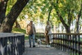 Middle aged couple with labrador walking Royalty Free Stock Photo