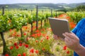 Farmer using tablet computer in vineyard Royalty Free Stock Photo