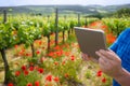 Farmer using tablet computer in vineyard