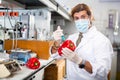 Middle-aged male scientist injecting reagent from syringe into pepper in laboratory Royalty Free Stock Photo