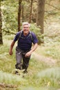 Middle aged man with a backpack hiking in a forest looking at camera, elevated front view, full length Royalty Free Stock Photo