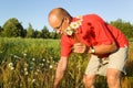 Middle-aged man picking up flowers Royalty Free Stock Photo