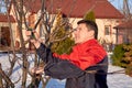 Middle aged man pruning tree branches early spring Royalty Free Stock Photo