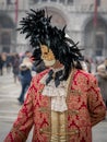 A middle-aged man in a vintage costume with a lace collar, wearing a carnival mask bordered by a circle of high black feathers Royalty Free Stock Photo