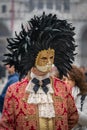 A middle-aged man in a vintage costume with a lace collar, wearing a carnival mask bordered by a circle of high black feathers Royalty Free Stock Photo