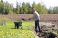 Middle aged man working with garden tools, shovel and wheelbarrow on the site of a country house Royalty Free Stock Photo