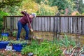 Middle aged woman digging a hole in a front yard garden in preparation for installing a new bush