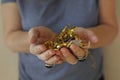 Middle-aged woman holding gold and silver star shapped birthday confetti in hands while standing against beige wall Royalty Free Stock Photo