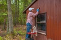 Middle aged woman painting shed Royalty Free Stock Photo