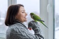 Middle aged woman and parrot together, female bird owner talking looking at green quaker pet