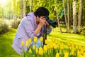 Middle-aged woman photographs yellow tulips Royalty Free Stock Photo