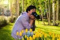 Middle-aged woman photographs yellow tulips Royalty Free Stock Photo