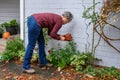 Middle aged woman putting a foam cover on an outdoor spigot as part of fall outdoor chores getting ready for winter Royalty Free Stock Photo