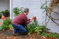 Middle aged woman putting a foam cover on an outdoor spigot as part of fall outdoor chores getting ready for winter Royalty Free Stock Photo