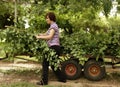 Middle-aged Woman Putting Plant Cuttings On Trailer