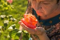 Middle-aged woman and a rose. The woman inhales the aroma of the rose at sunset. The rose shines at sunset Royalty Free Stock Photo