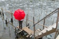 Middle aged woman standing on a bamboo bridge, under a red umbrella in a mangrove forest.