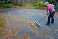 Middle aged woman sweeping up fallen leaves and pine needles on a driveway, fall cleanup chores