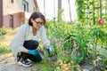 Middle aged woman working in flower bed using gardening tools. Royalty Free Stock Photo