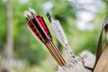 Colorful Relics of the Past: Wooden Arrows from the Middle Ages