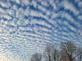 Middle Atmosphere Altocumulus Clouds With Treetop Foreground