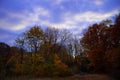 Middle of autumn dusk atmospheric aesthetic scenic view of bare trees and cloudscape