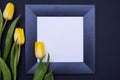 In the middle, on a black background, lies a black frame with a white background and three yellow tulips lie on the left side Royalty Free Stock Photo