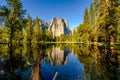 Middle Cathedral Rock reflecting in Merced River at Yosemite Royalty Free Stock Photo