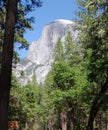 Middle Cathedral Rock seen behind green sugar pine trees in Yosemite National Park, California Royalty Free Stock Photo