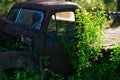 Rusty and abandoned truck Royalty Free Stock Photo