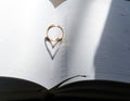 In the middle of the diary is an engagement ring, branching a shadow in the form of a heart