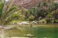 Man and child swimming in the pools at Wadi Bani Khalid