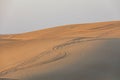 Tire tracks on sand dunes in the desert of Oman Royalty Free Stock Photo