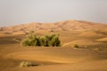 Middle East desert - colorful patterns of the Liwa Desert Royalty Free Stock Photo