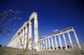 MIDDLE EAST SYRIA HAMA APAMEA RUINS Royalty Free Stock Photo