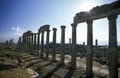 MIDDLE EAST SYRIA HAMA APAMEA RUINS Royalty Free Stock Photo