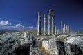 MIDDLE EAST SYRIA HAMA APAMEA RUINS Royalty Free Stock Photo