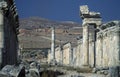 MIDDLE EAST SYRIA HAMA APAMEA RUINS Royalty Free Stock Photo