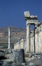 MIDDLE EAST SYRIA HAMA APAMEA RUINS Royalty Free Stock Photo