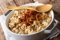 Middle Eastern food: Mujaddara rice with lentils and fried onion Royalty Free Stock Photo