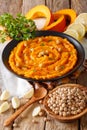 Middle Eastern food: pumpkin hummus with ingredients close-up. v