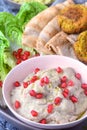 MIddle eastern platter- hummus falafel baba ghanoush pita bread