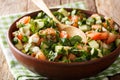 Middle Eastern shirazi salad of fresh vegetables and herbs close-up on the table. horizontal Royalty Free Stock Photo