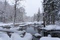 N the middle of the forest is a cliff with a reservoir of water Royalty Free Stock Photo