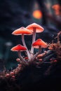 Trippy Fungi: A Psychedelic Journey with Glowing Mushrooms on a