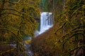 Middle North Falls View at Silver Falls State Park Royalty Free Stock Photo