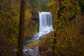 Middle North Falls View at Silver Falls State Park Royalty Free Stock Photo